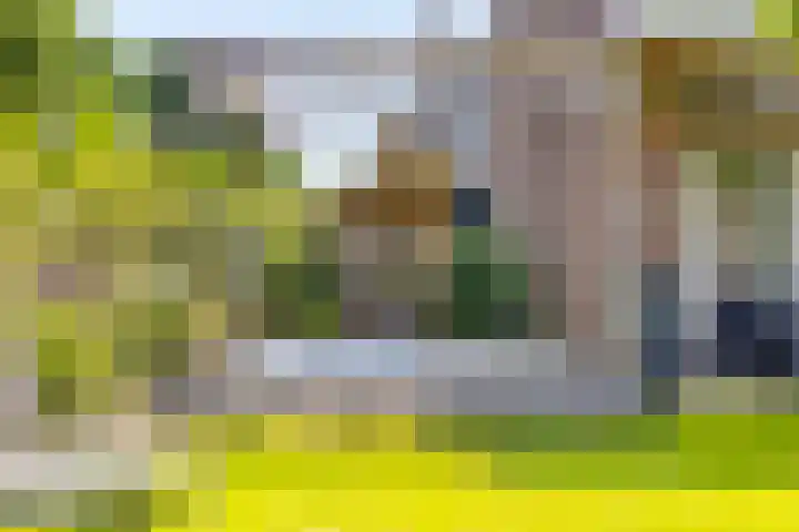 Heiblok 23 Oploo thumbnail 47