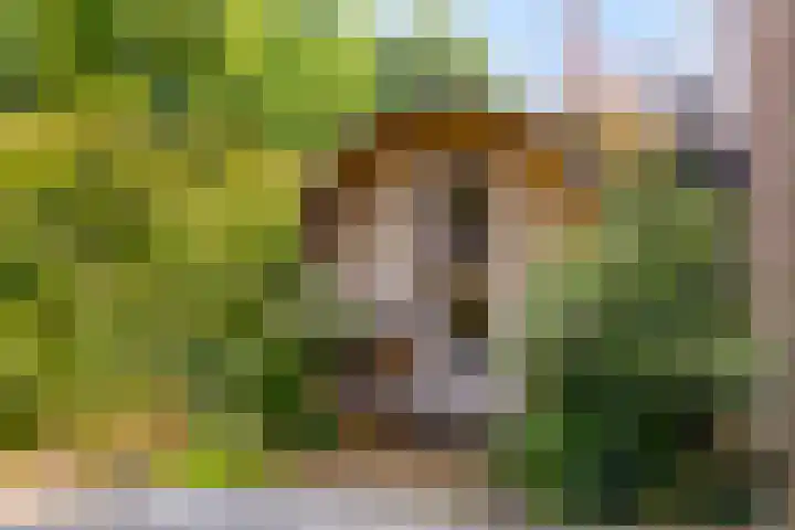 Heiblok 23 Oploo thumbnail 48