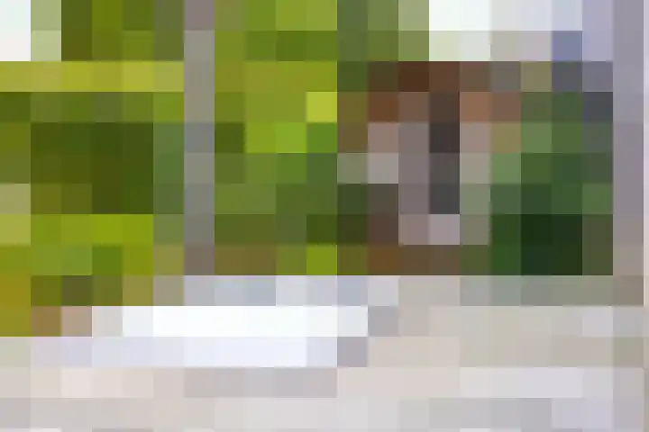 Heiblok 23 Oploo thumbnail 50