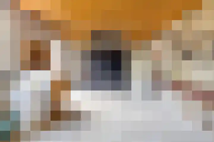 Heiblok 23 Oploo thumbnail 52