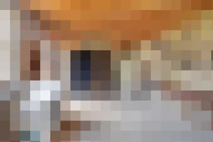 Heiblok 23 Oploo thumbnail 54