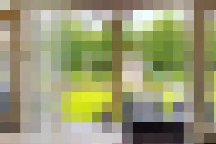 Heiblok 23 Oploo thumbnail 8