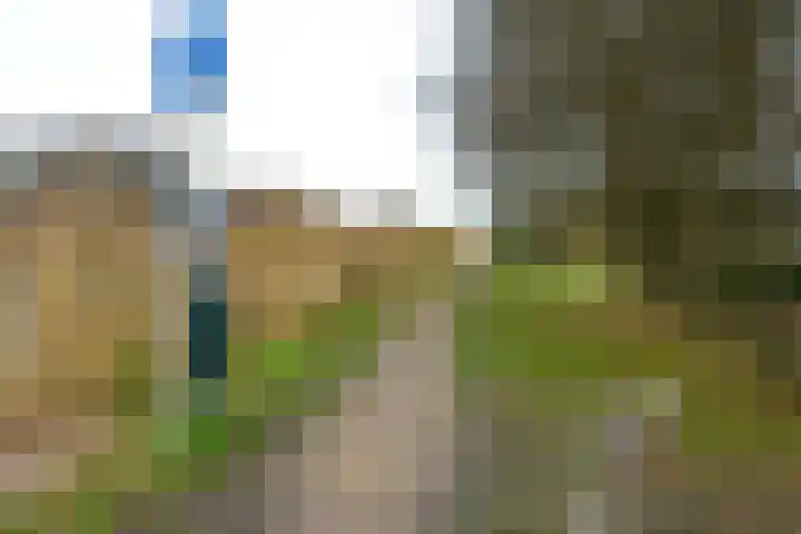 Heicop 25 a Kockengen thumbnail 33