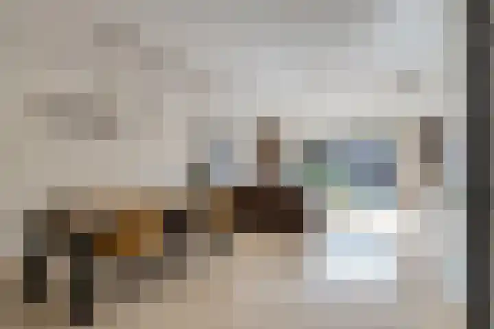 Heicopstraat 82 Zoetermeer thumbnail 9