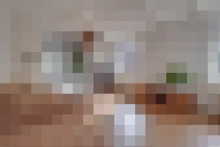 Heide 16 Swalmen thumbnail 11