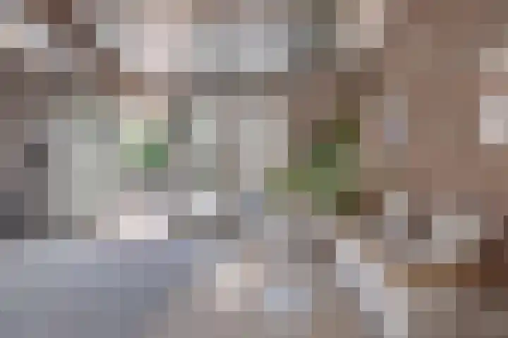Heide 16 Swalmen thumbnail 13
