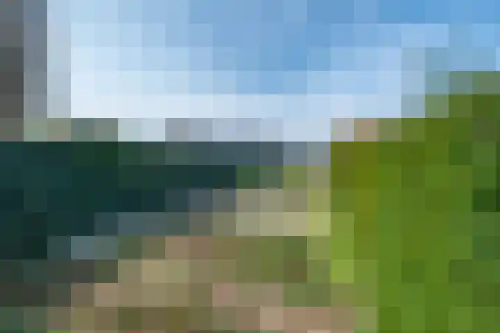 Heide 16 Swalmen thumbnail 32