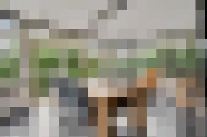 Heide 17 Roggel thumbnail 10