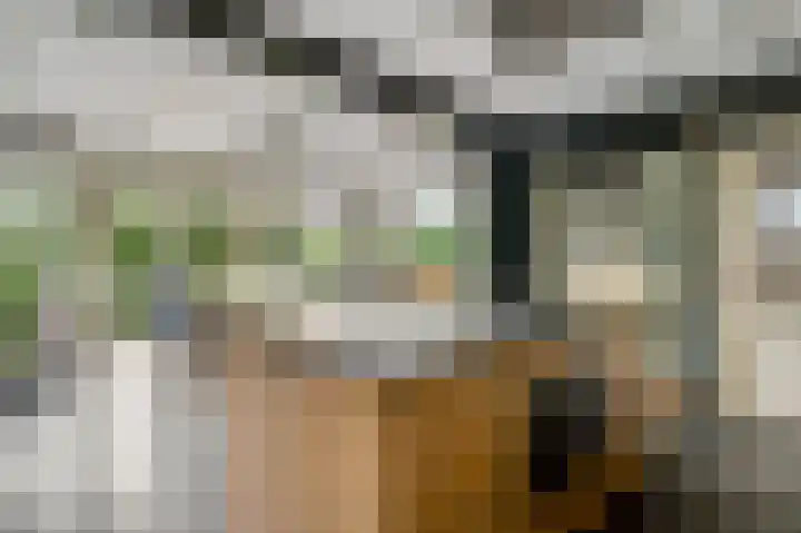 Heide 17 Roggel thumbnail 12