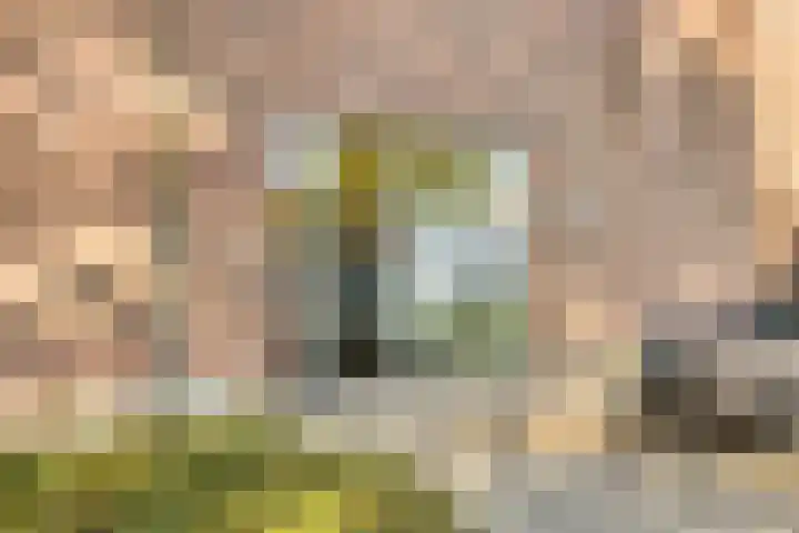 Heide 17 Roggel thumbnail 13
