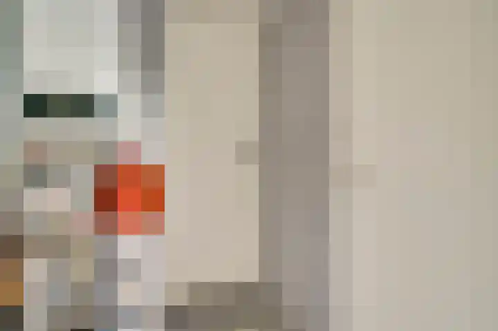 Heide 17 Roggel thumbnail 19