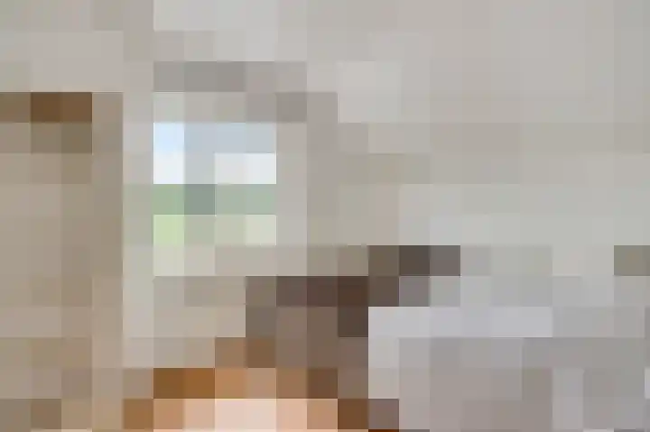 Heide 17 Roggel thumbnail 22