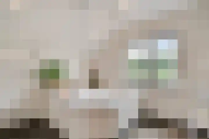 Heide 17 Roggel thumbnail 25