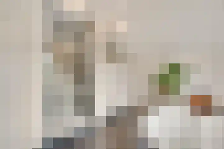 Heide 17 Roggel thumbnail 26