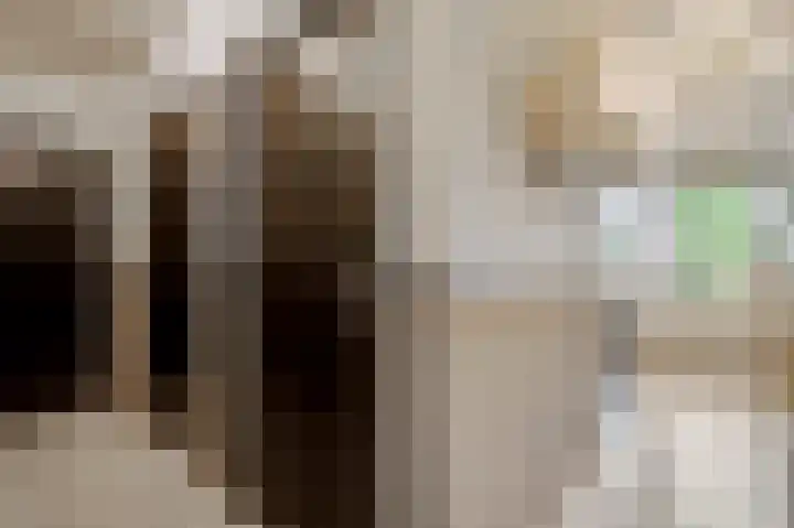 Heide 17 Roggel thumbnail 28