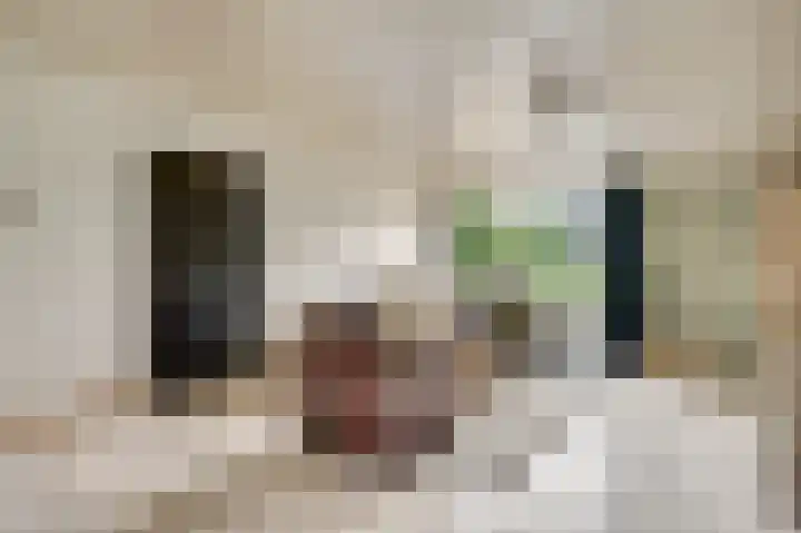 Heide 17 Roggel thumbnail 31