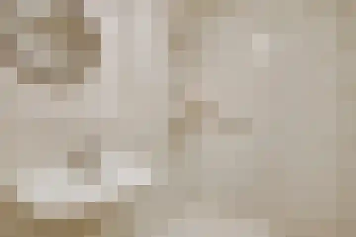 Heide 17 Roggel thumbnail 39