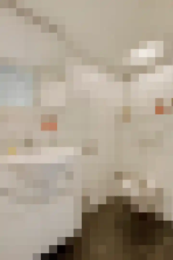 Heide 17 Roggel thumbnail 44