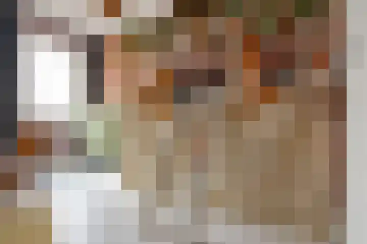 Heide 17 Roggel thumbnail 48