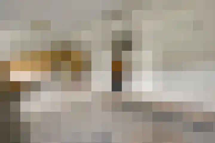 Heide 17 Roggel thumbnail 48