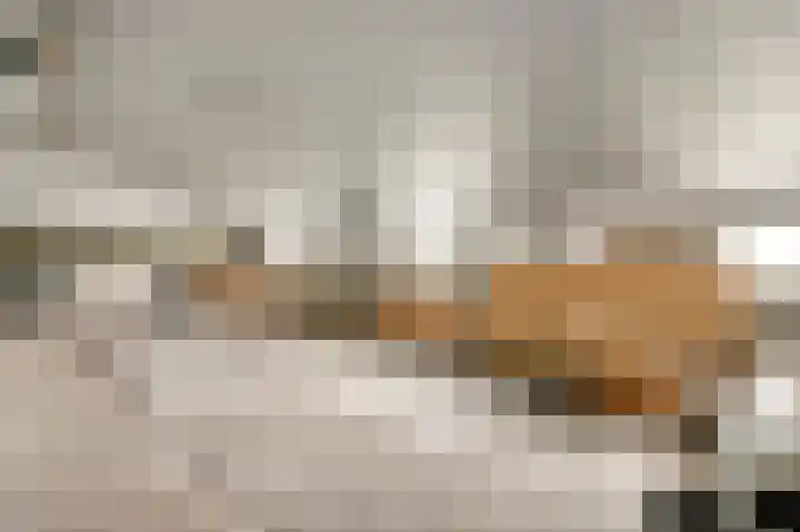 Heide 17 Roggel thumbnail 49