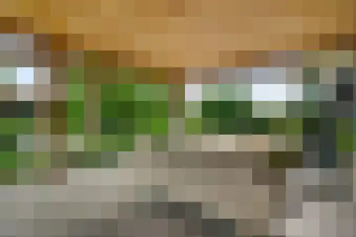 Heide 17 Roggel thumbnail 53