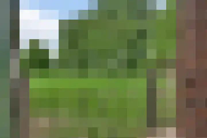 Heide 17 Roggel thumbnail 54