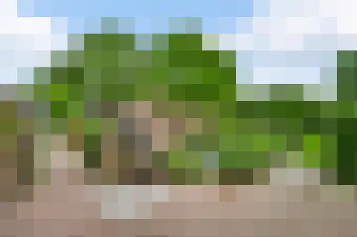Heide 17 Roggel thumbnail 55