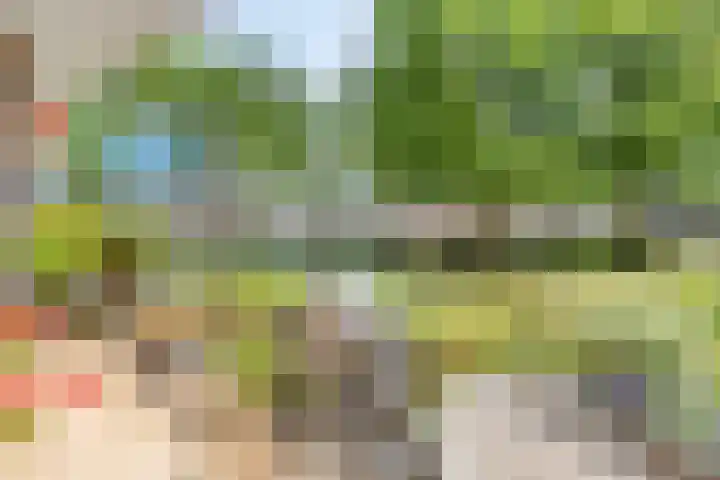 Heide 17 Roggel thumbnail 56