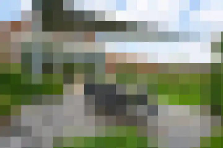 Heide 17 Roggel thumbnail 56