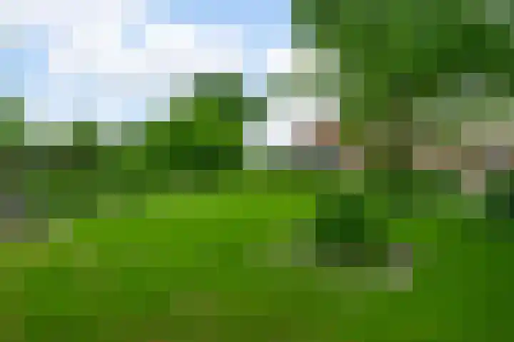 Heide 17 Roggel thumbnail 59