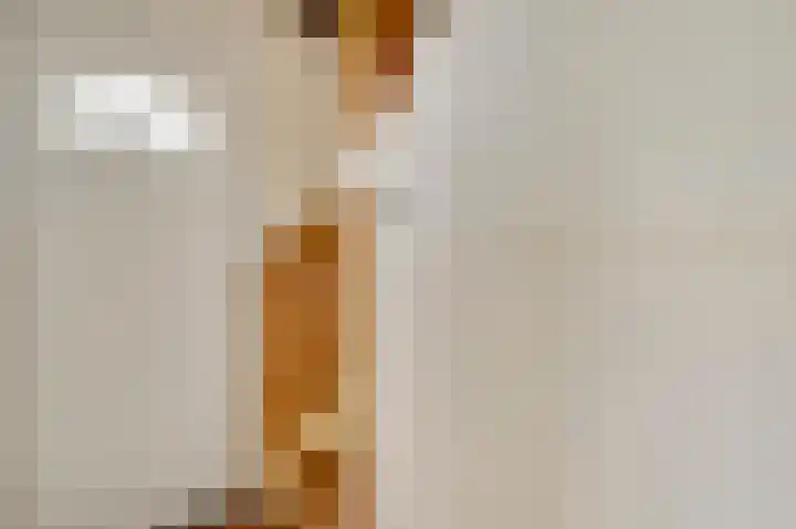 Heide 17 Roggel thumbnail 6