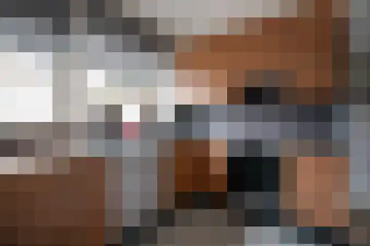 Heide 17 Roggel thumbnail 63