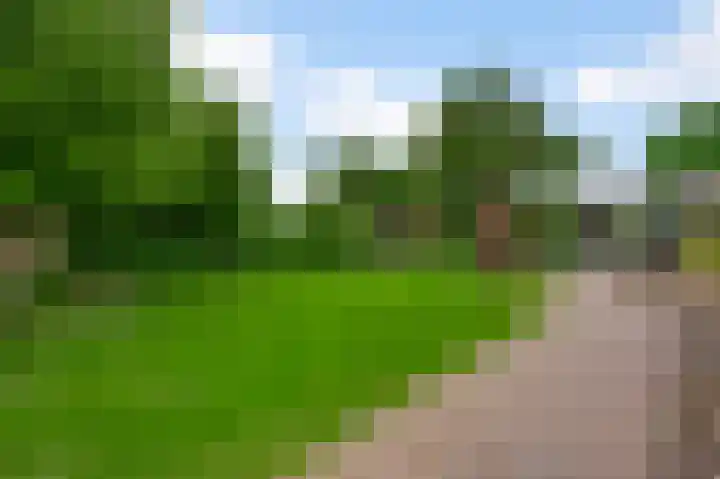 Heide 17 Roggel thumbnail 65