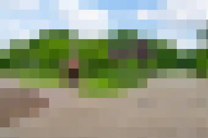 Heide 17 Roggel thumbnail 67