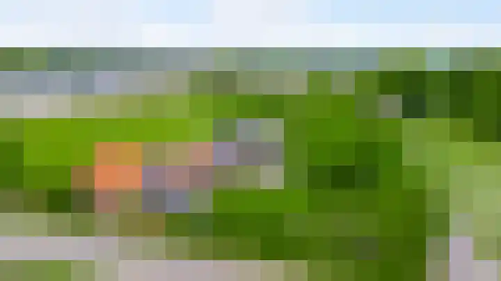 Heide 17 Roggel thumbnail 69