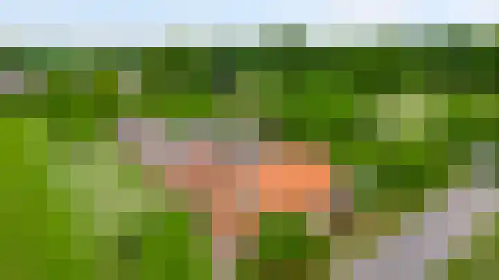 Heide 17 Roggel thumbnail 70