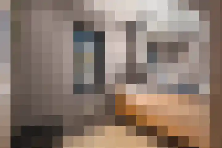 Heide 17 Roggel thumbnail 73