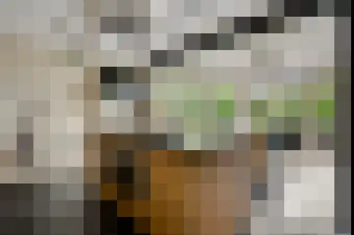 Heide 17 Roggel thumbnail 8