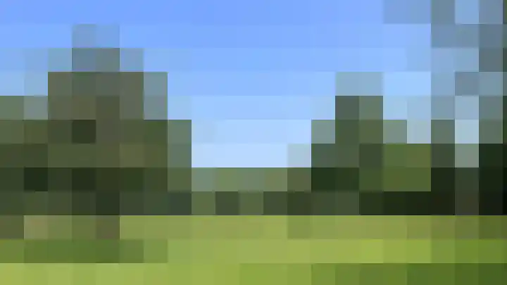 Heide 17 Roggel thumbnail 82