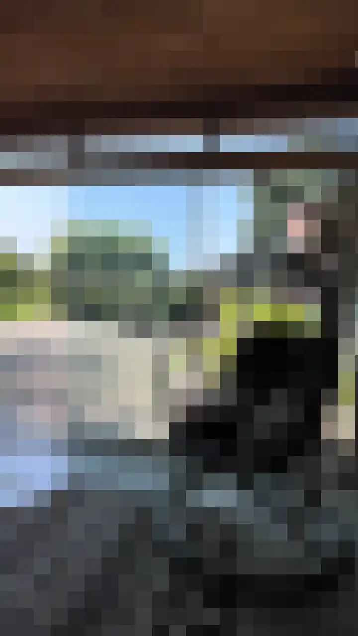 Heide 17 Roggel thumbnail 83