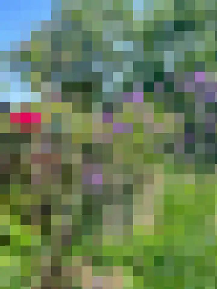 Heide 17 Roggel thumbnail 84