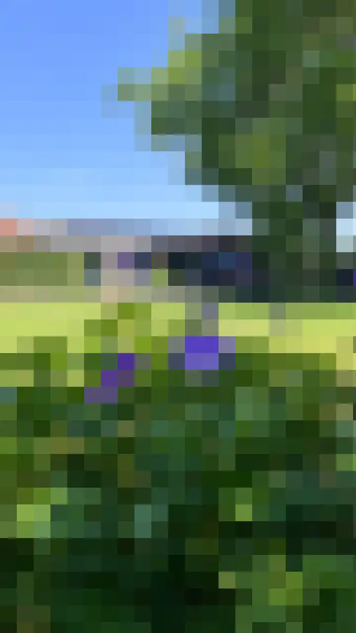 Heide 17 Roggel thumbnail 85