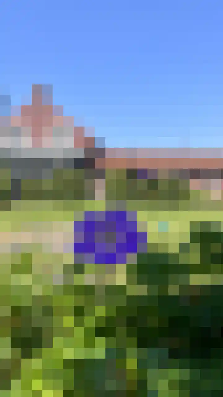 Heide 17 Roggel thumbnail 86