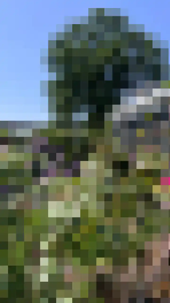 Heide 17 Roggel thumbnail 87