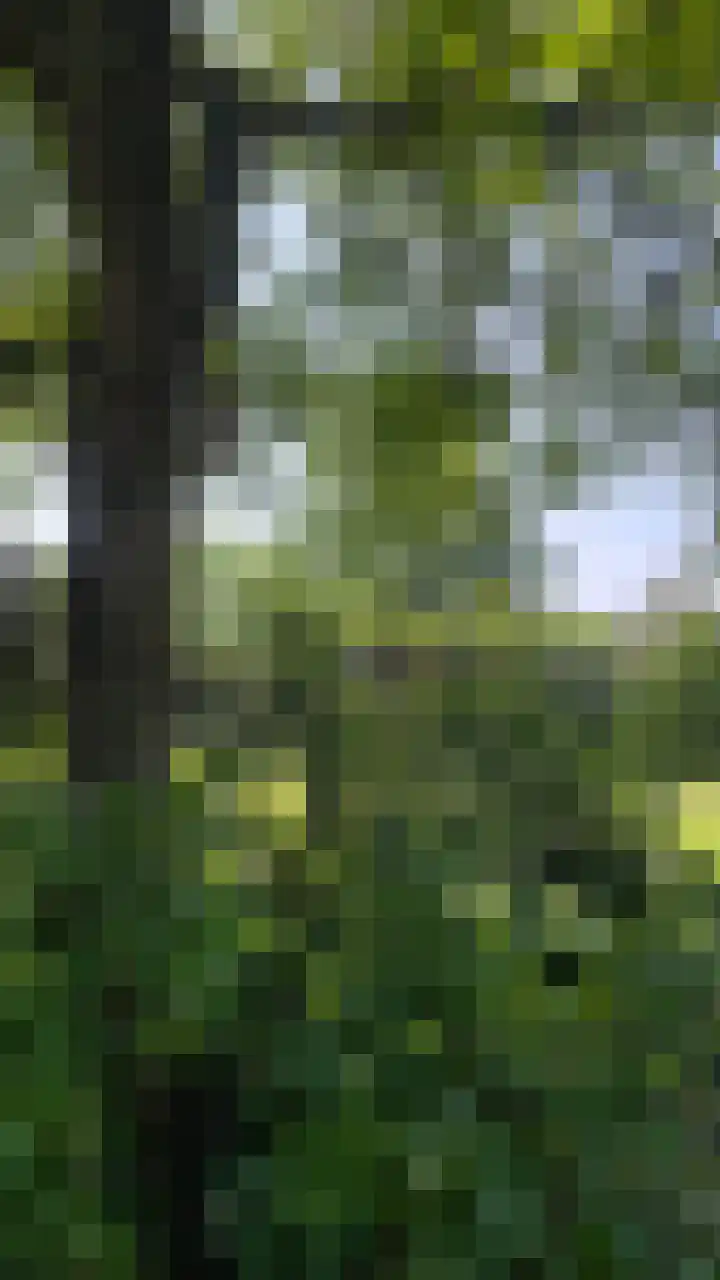 Heide 17 Roggel thumbnail 89