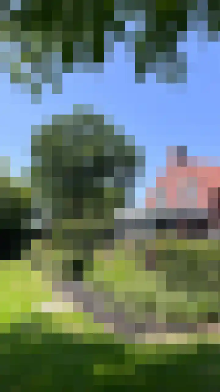 Heide 17 Roggel thumbnail 93