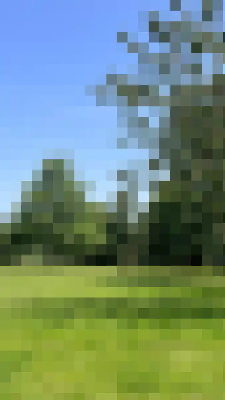 Heide 17 Roggel thumbnail 96