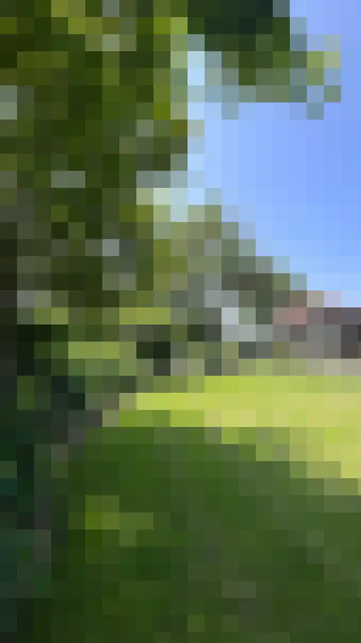 Heide 17 Roggel thumbnail 97