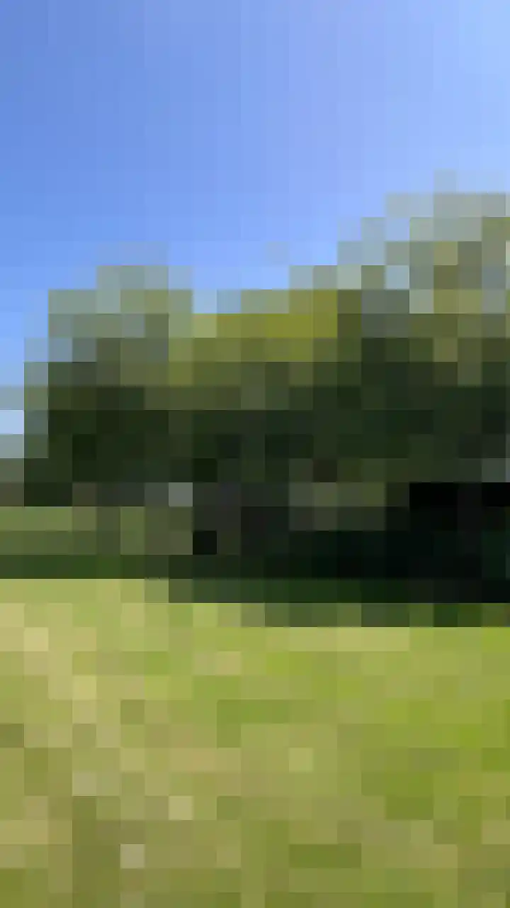 Heide 17 Roggel thumbnail 98
